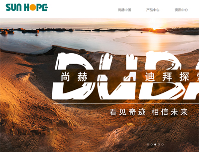 網(wǎng)站建設(shè)案例